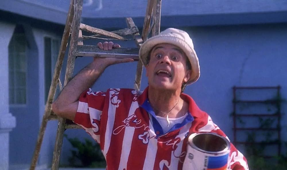 不思議なペットショップの画像