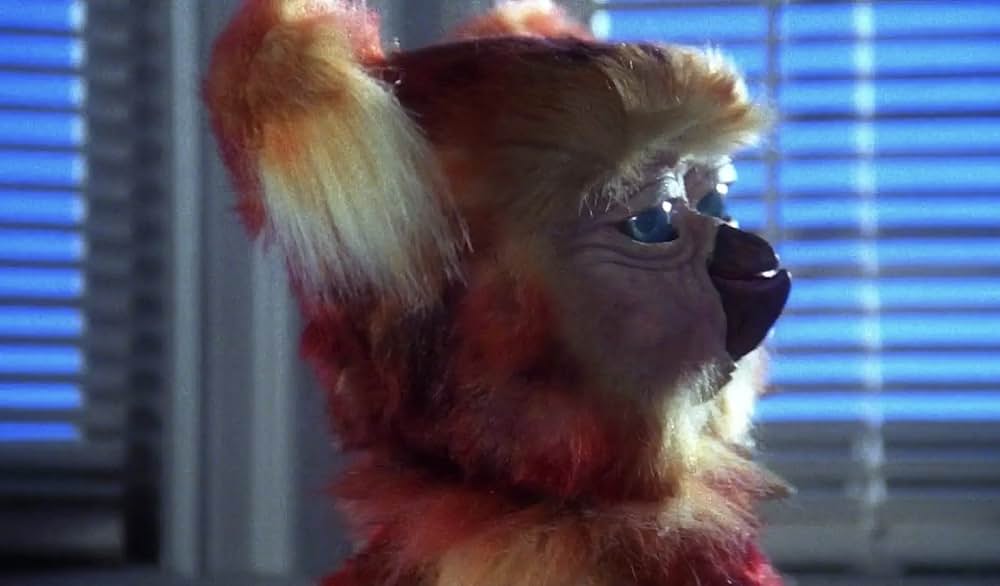 不思議なペットショップの画像