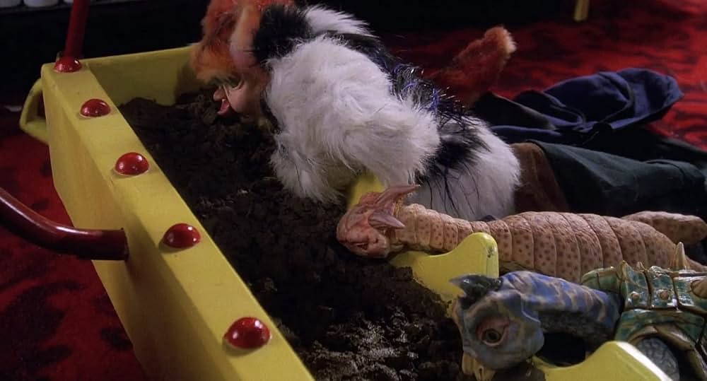 不思議なペットショップの画像