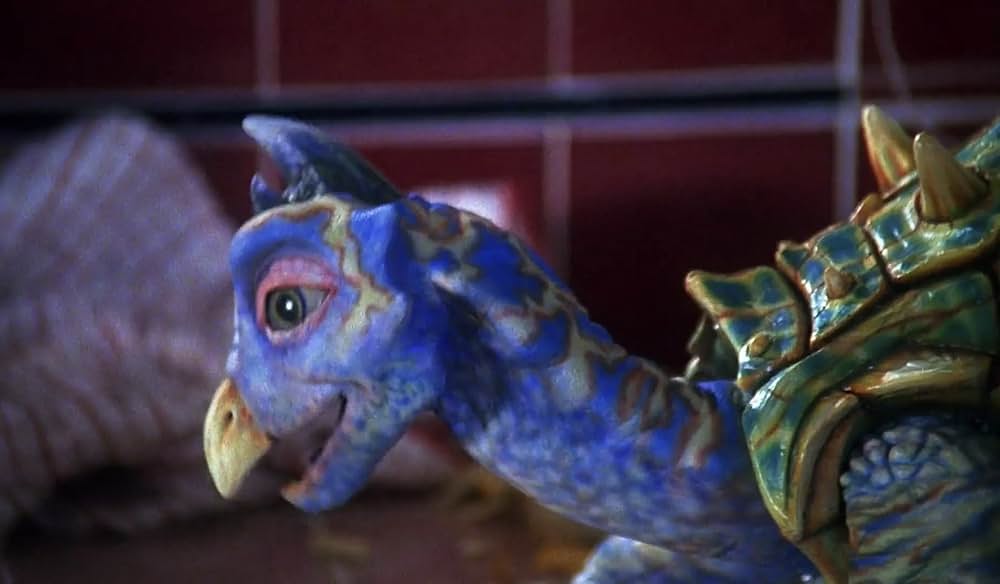 不思議なペットショップの画像