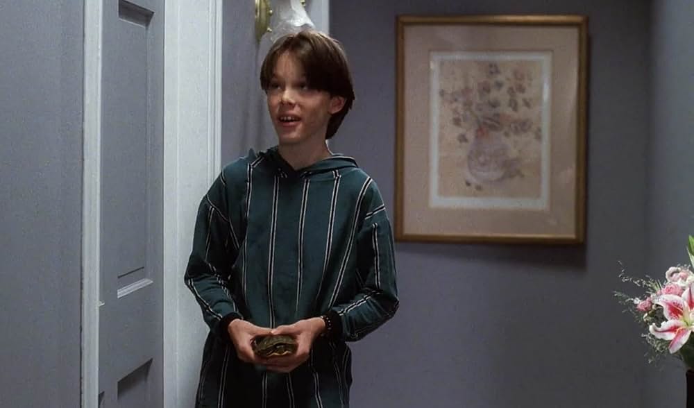 不思議なペットショップの画像