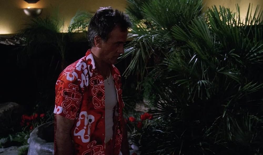 不思議なペットショップの画像