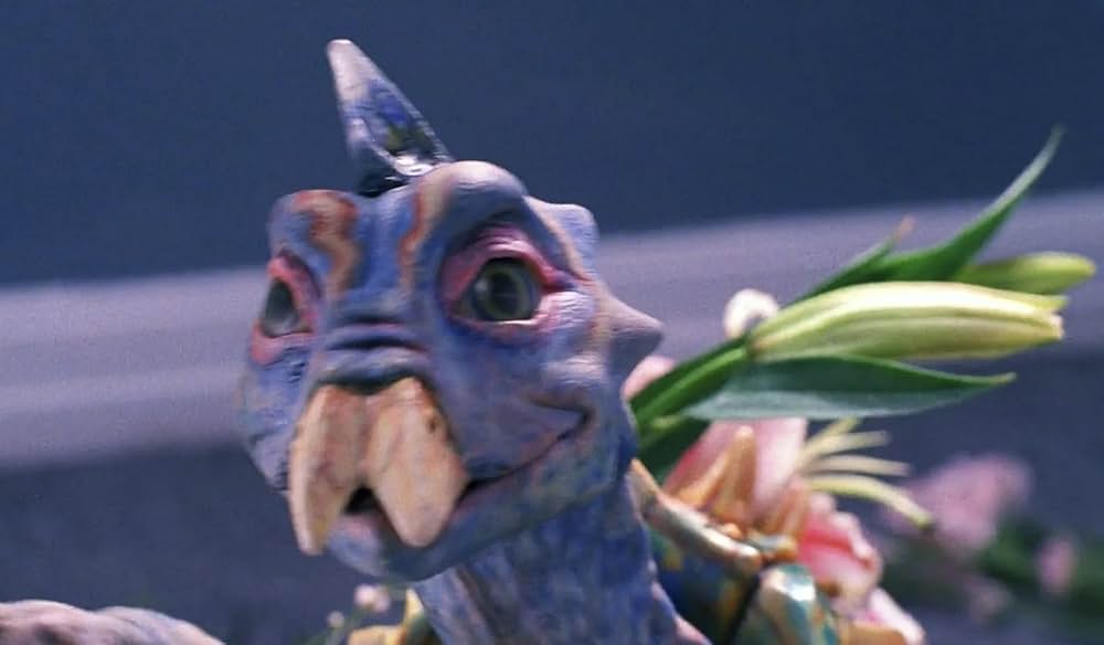 不思議なペットショップの画像