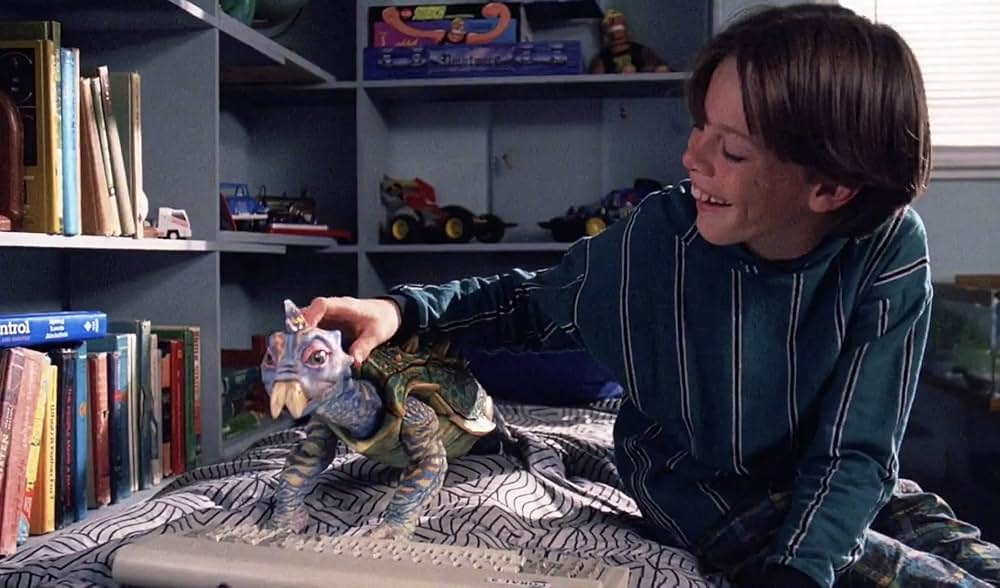 不思議なペットショップの画像