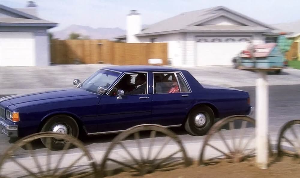 不思議なペットショップの画像