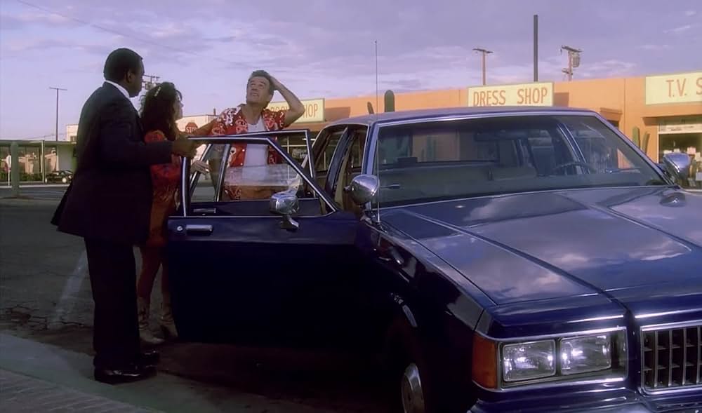 不思議なペットショップの画像