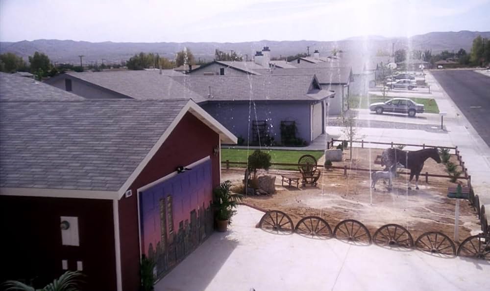 不思議なペットショップの画像