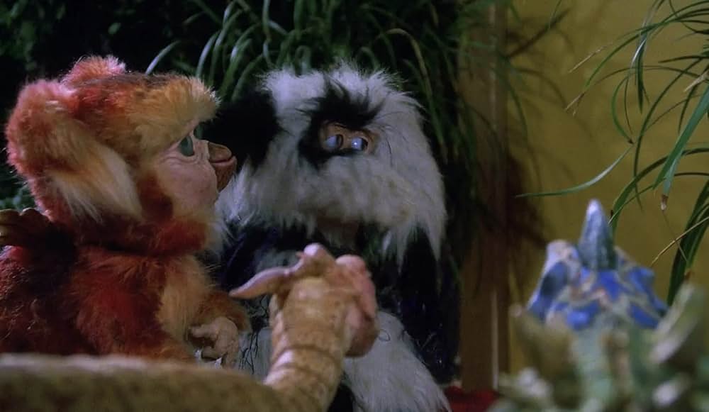 不思議なペットショップの画像