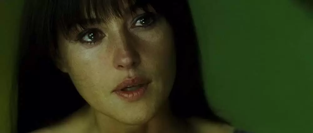 シューテム・アップの画像