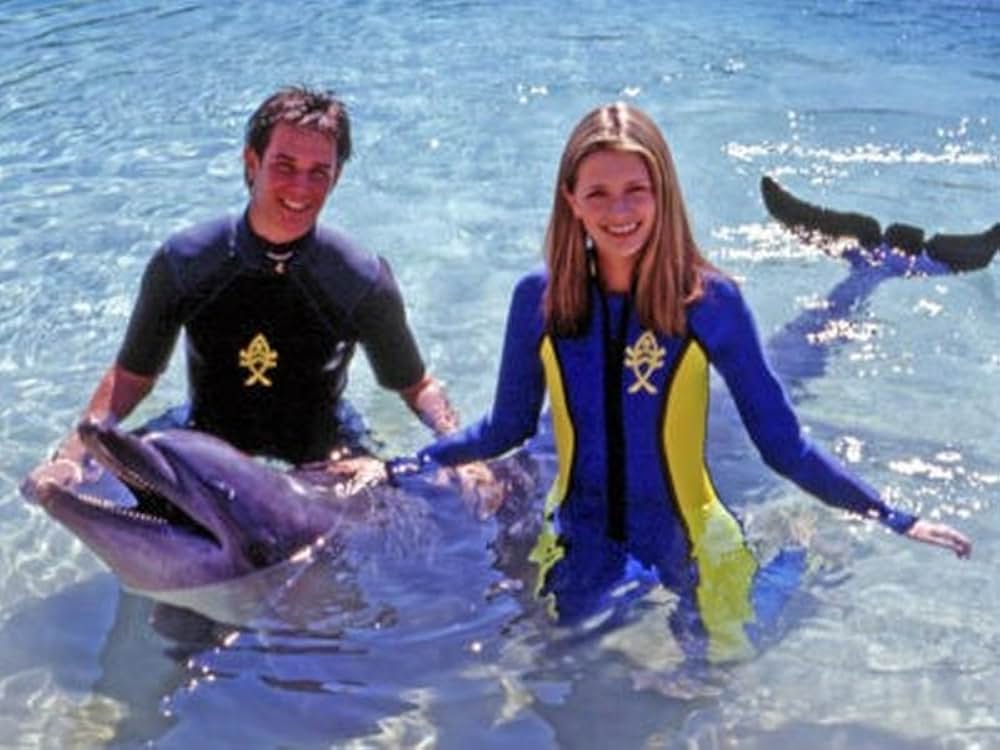 イルカがいた夏の画像