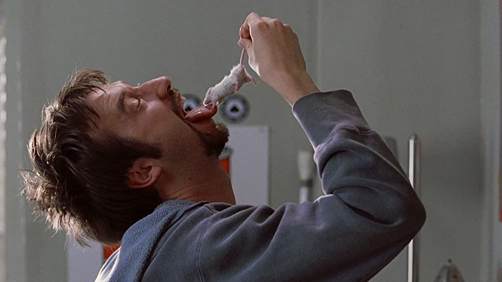 ロード・トリップの画像