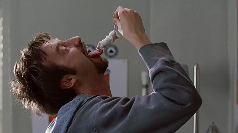 「ロード・トリップ」トム・グリーンの画像