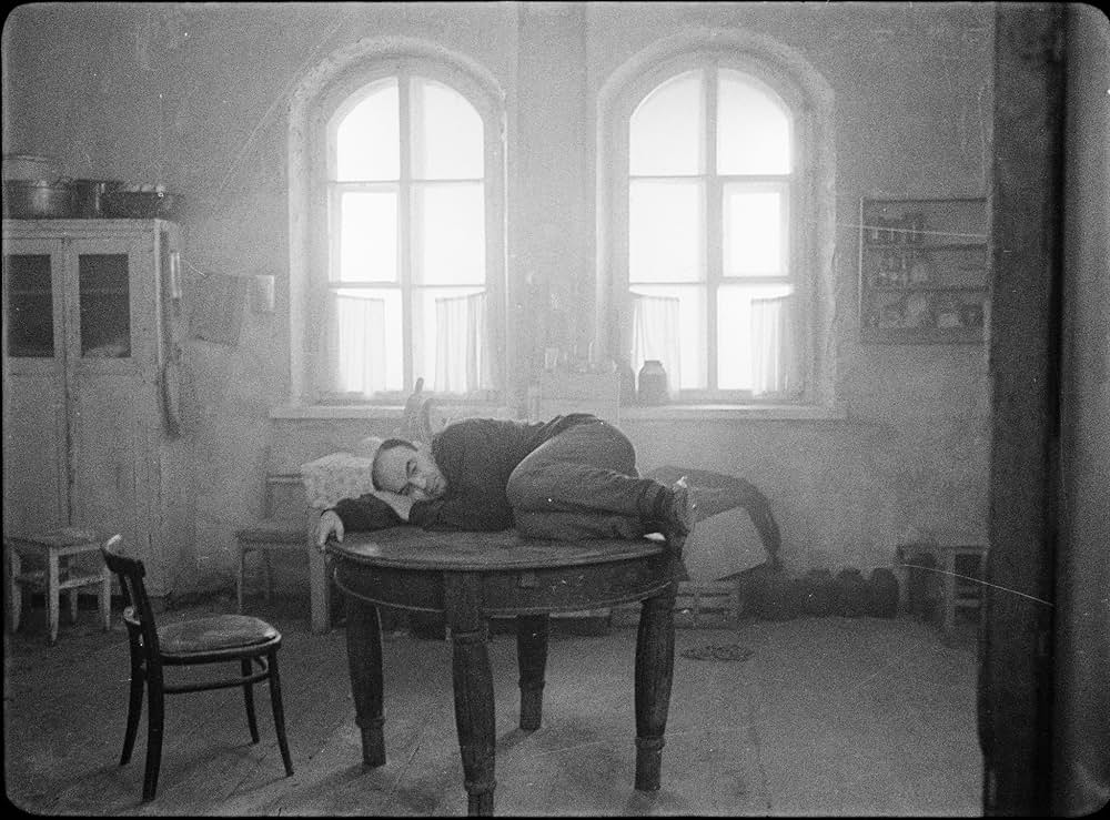 コリドーの画像