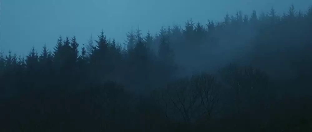 FRANK フランクの画像