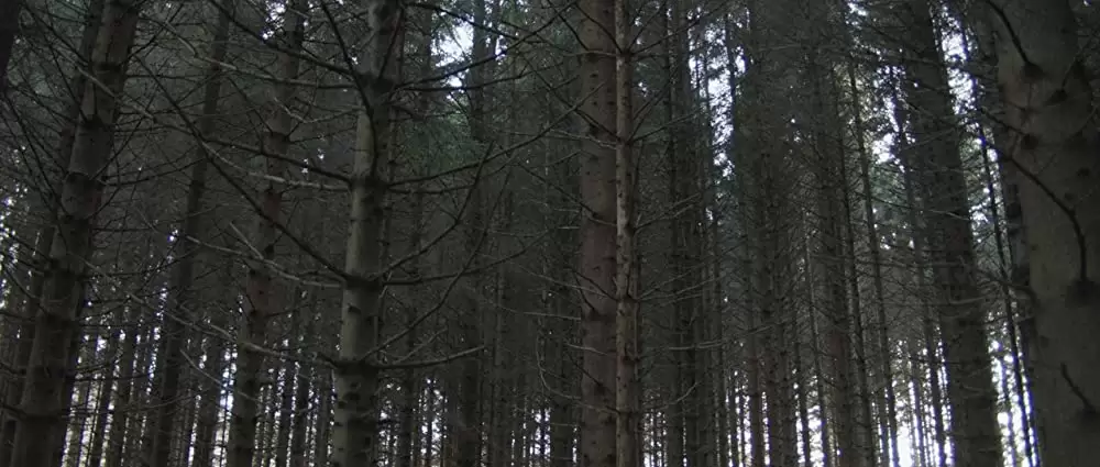 FRANK フランクの画像