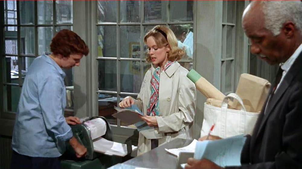 下り階段をのぼれの画像