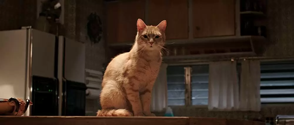 ハッピーボイス・キラーの画像