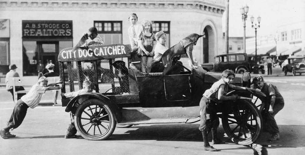 Alice and the Dog Catcher（原題）の画像