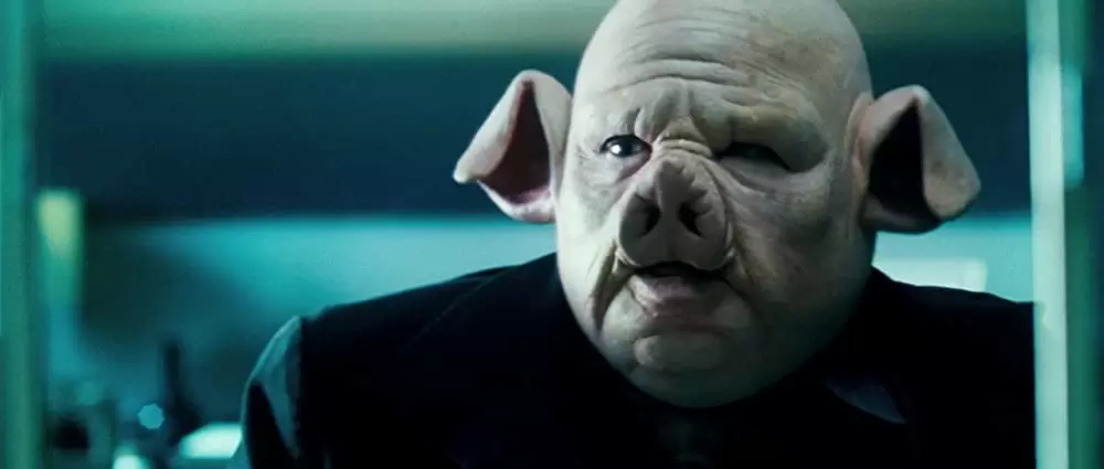 フィルスの画像