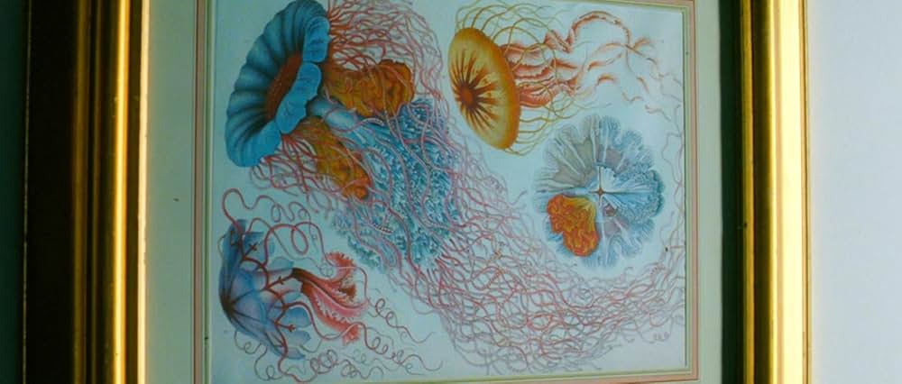 フィルスの画像