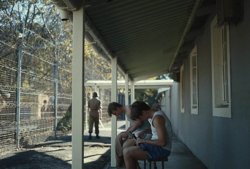 Moffie（原題）の画像