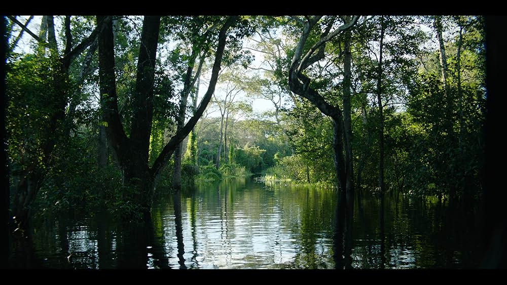 Luz nos trópicos（原題）の画像