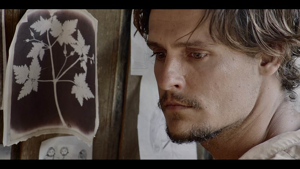 Luz nos trópicos（原題）の画像