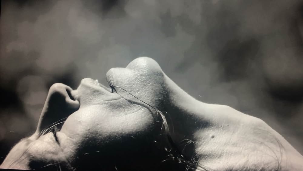 「Luz nos trópicos（原題）」の画像