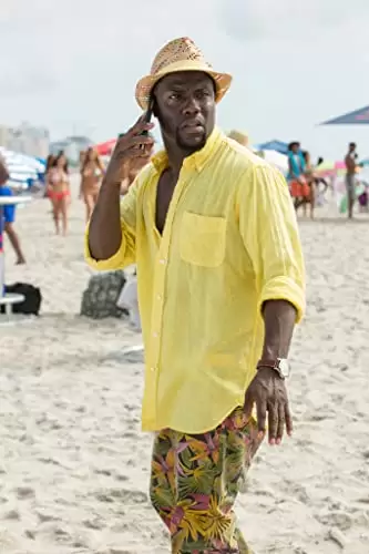 ブラザー・ミッション ライド・アロング2の画像