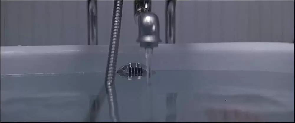 ホワット・ライズ・ビニースの画像