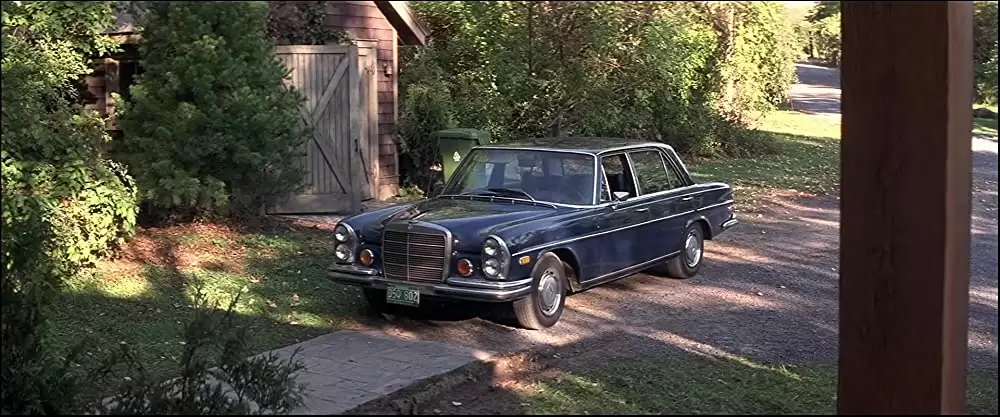 ホワット・ライズ・ビニースの画像