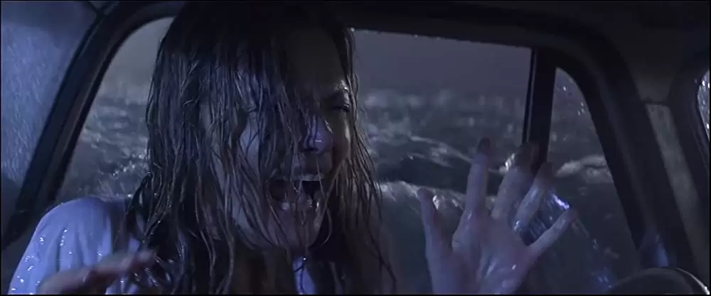 ホワット・ライズ・ビニースの画像