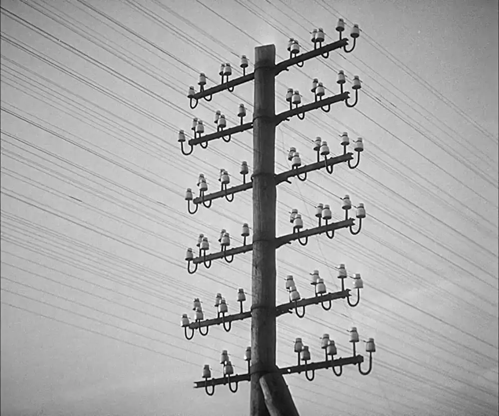 M（1931）の画像