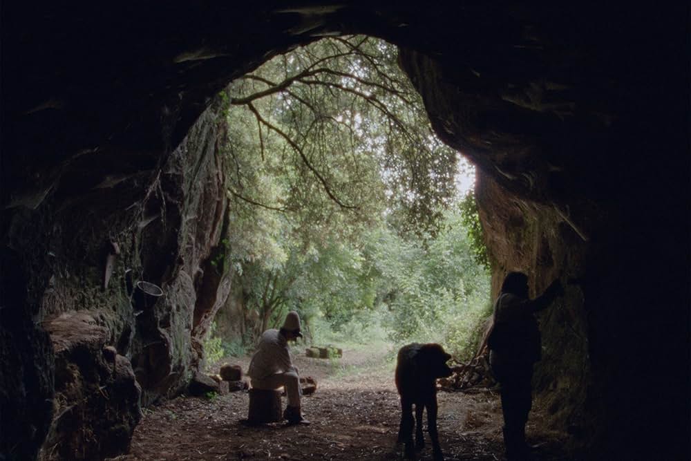 失われた美の画像