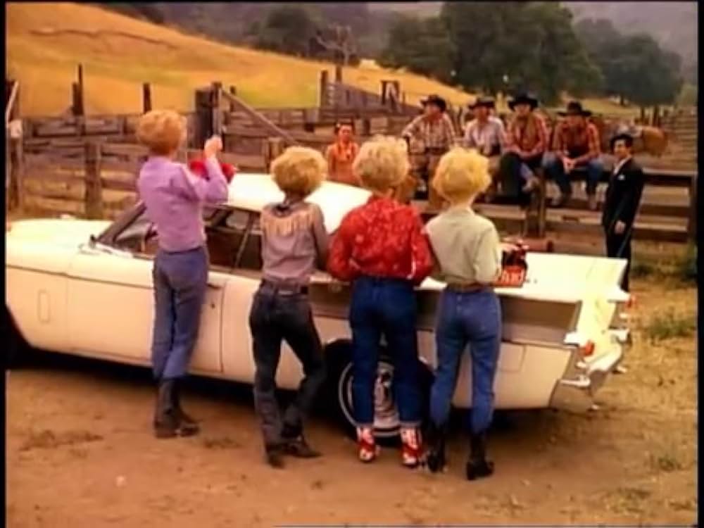 パリ・ストーリーの画像