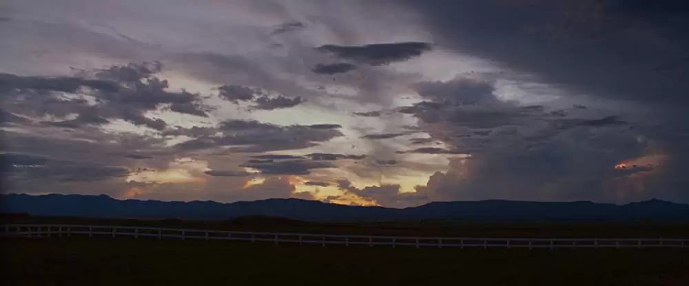 ザ・ゲストの画像