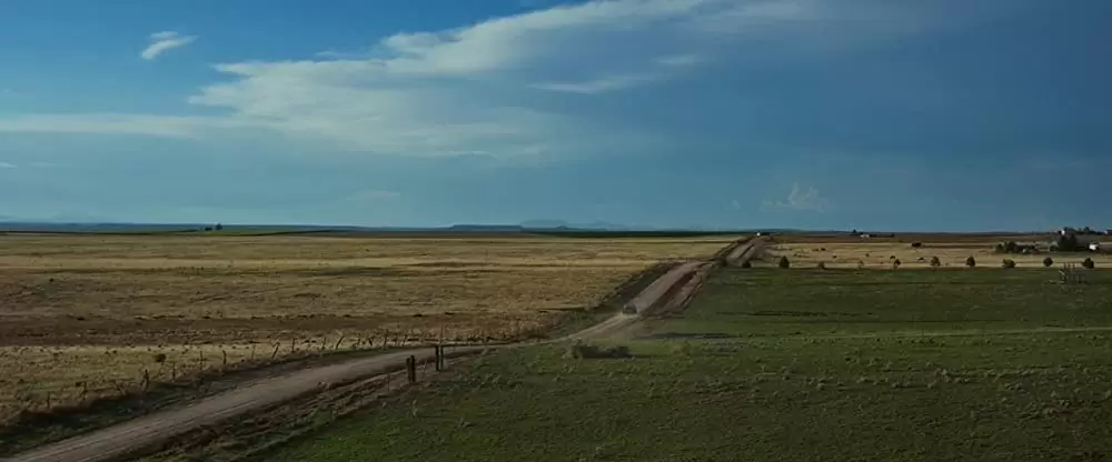 ザ・ゲストの画像