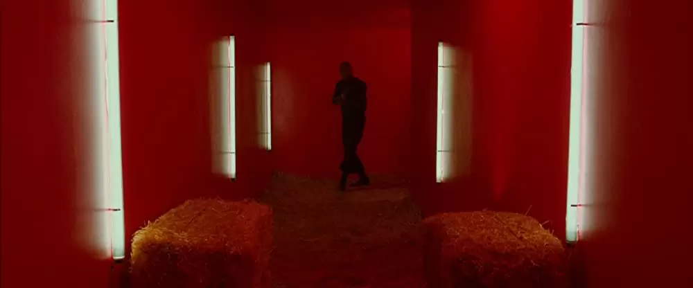 ザ・ゲストの画像