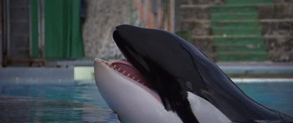 フリー ウィリー 解説 レビュー 評価 映画ポップコーン