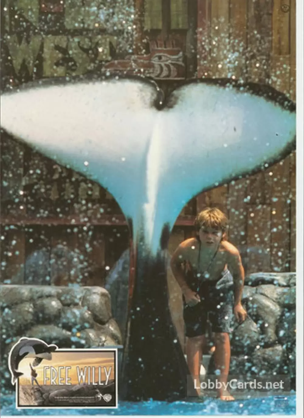 フリー・ウィリーの画像