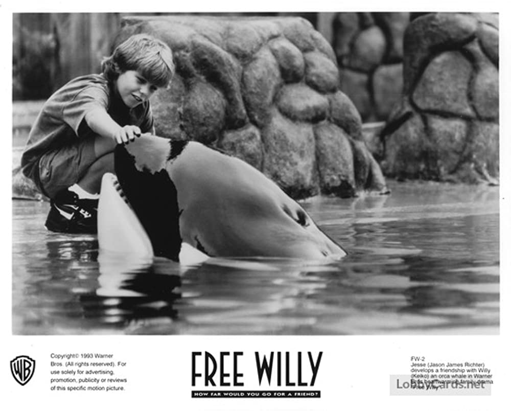 フリー・ウィリーの画像