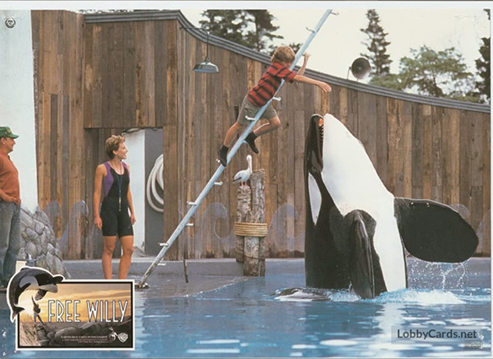 フリー・ウィリーの画像