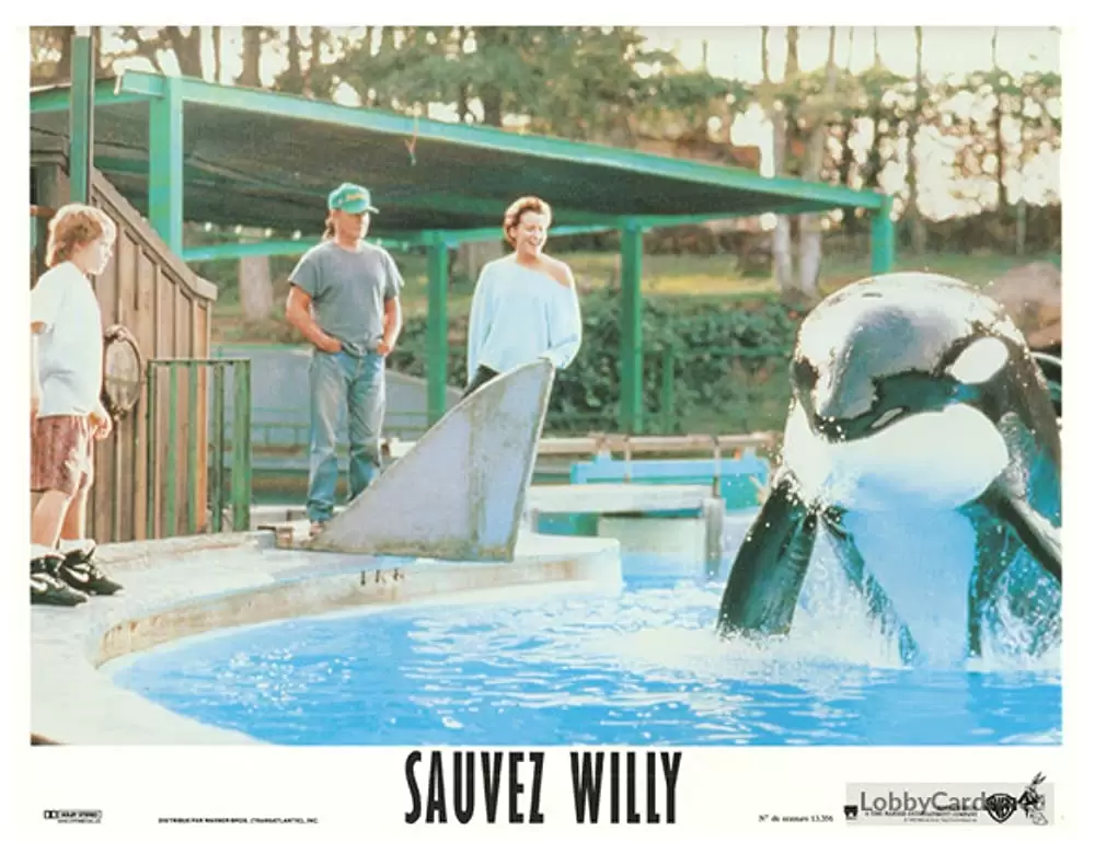 フリー・ウィリーの画像