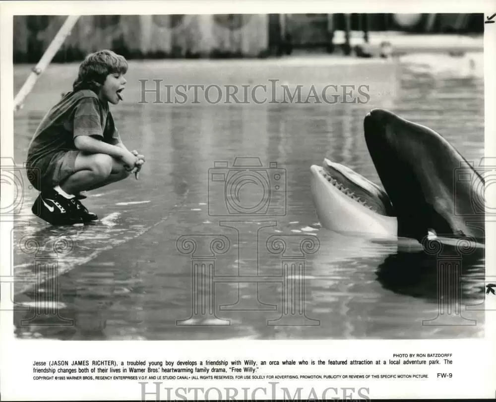 フリー・ウィリーの画像