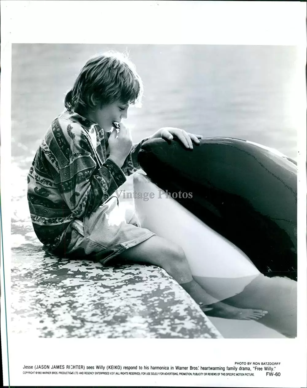 フリー・ウィリーの画像