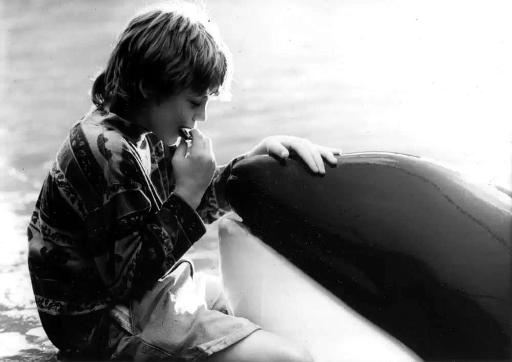 フリー・ウィリーの画像