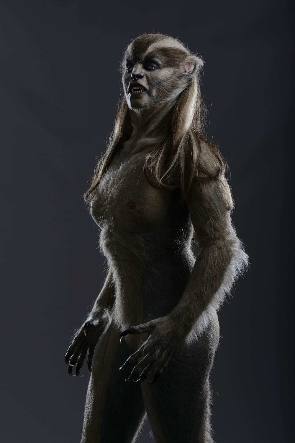 ビースト・ストーリー 選ばれし勇者の画像