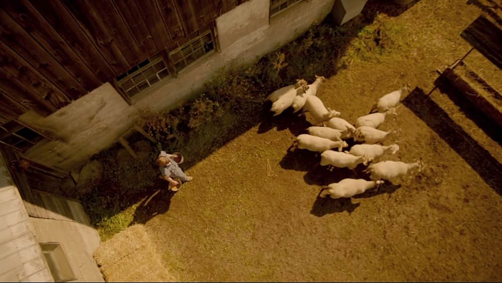 ビースト・ストーリー 選ばれし勇者の画像