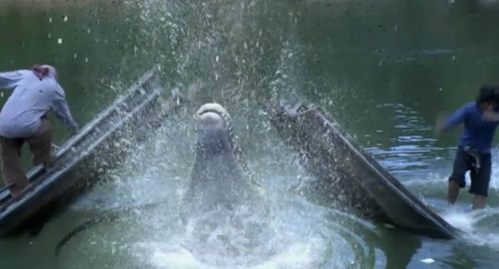 ラプターの画像