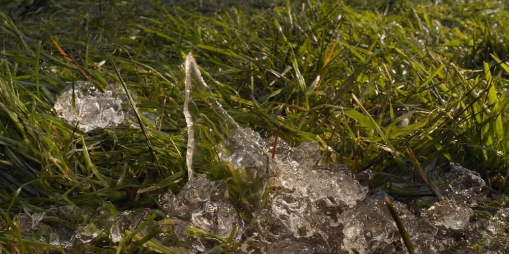 ファイナル・デッドブラッドの画像